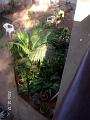Indien 097
